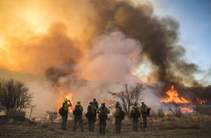 Wildfires in Jasper: UBC addresses various initiatives
